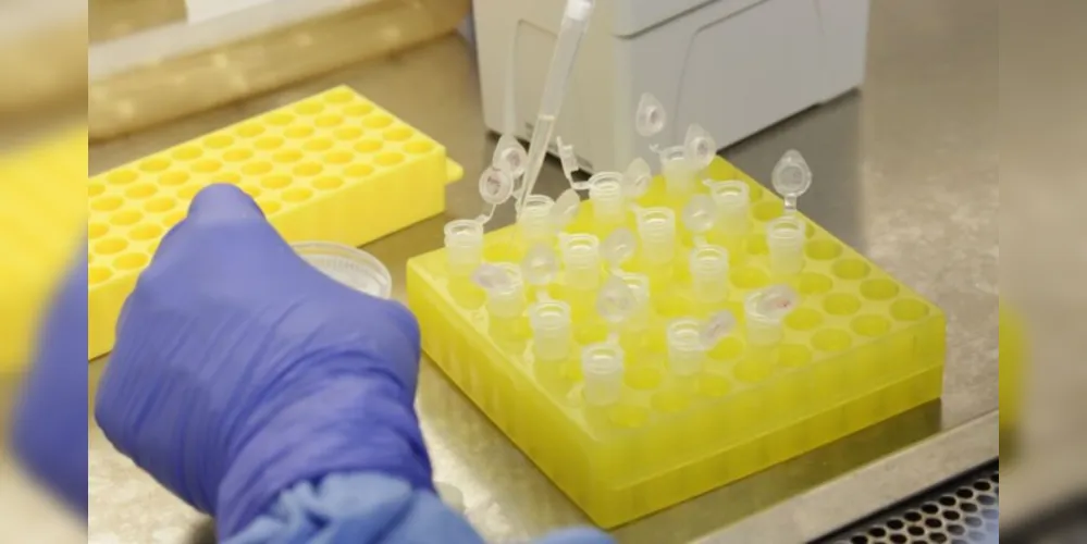 PG abre agendamento para 2ª dose de Astrazeneca e Pfizer