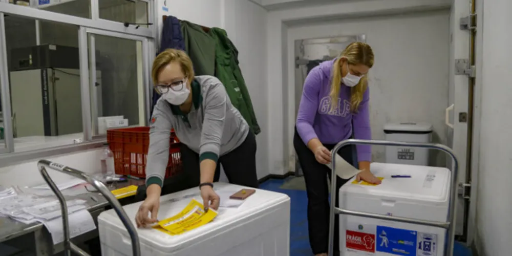 Distribuição já começou a ser feita