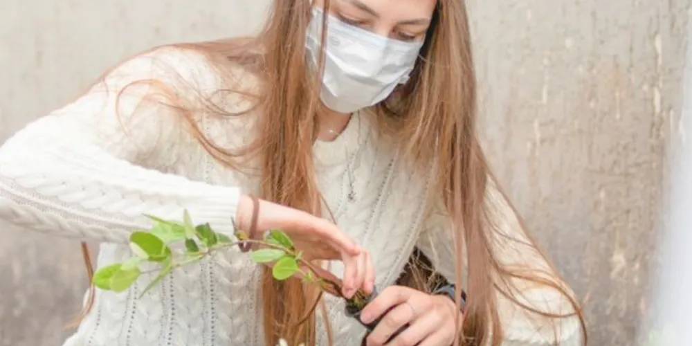 Drive Thru Solidário distribui mudas e recebe alimentos e lixo eletrônico