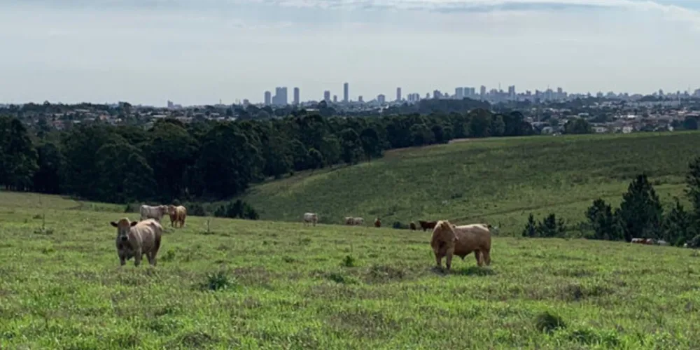 Expectativa deste projeto é contribuir ainda mais com a agricultura paranaense
