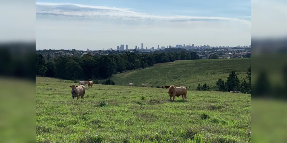 Expectativa deste projeto é contribuir ainda mais com a agricultura paranaense
