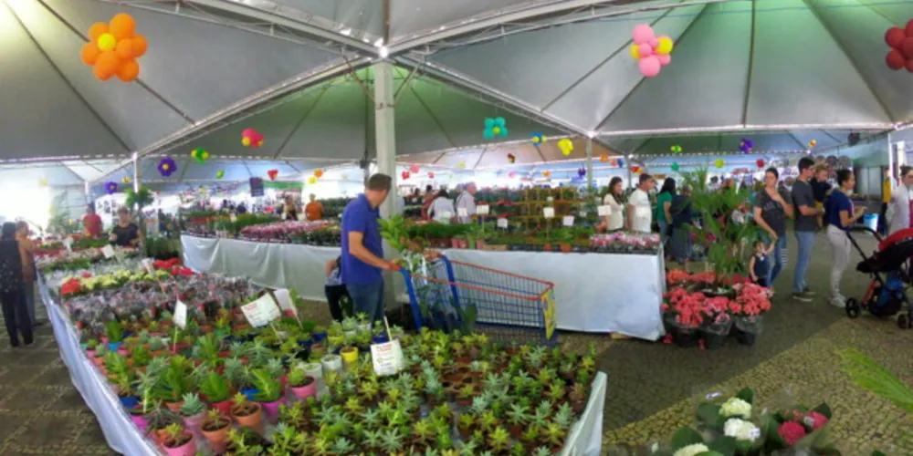 Todos os valores arrecadados durante a feira serão revertidos para os projetos apresentados pelas entidades e instituições.