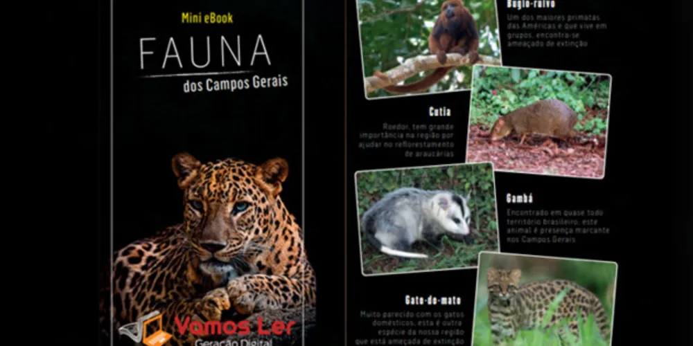 Material tem amplas informações