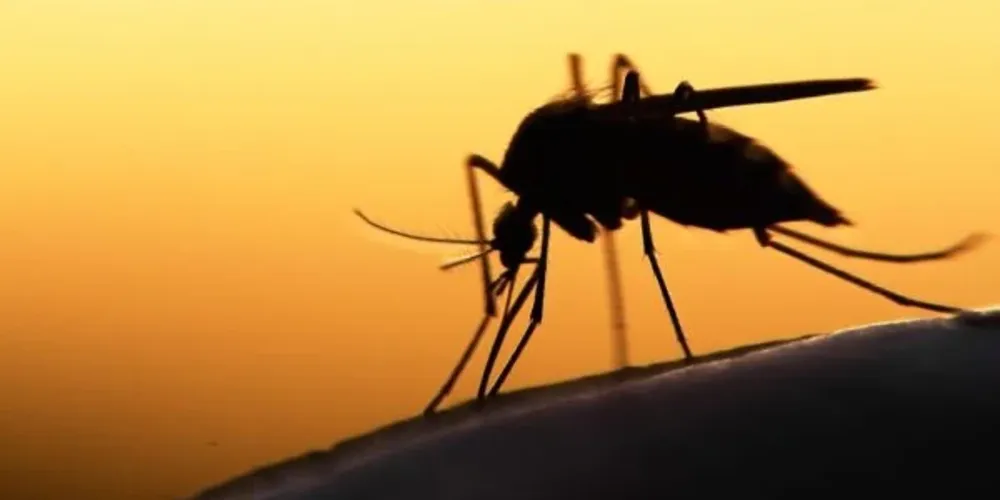 OMS autoriza vacinação contra malária em crianças pela 1º vez

Fórmula da GSK está sendo testada em três países africanos e mostrou bons resultados, de acordo com a entidade internacional