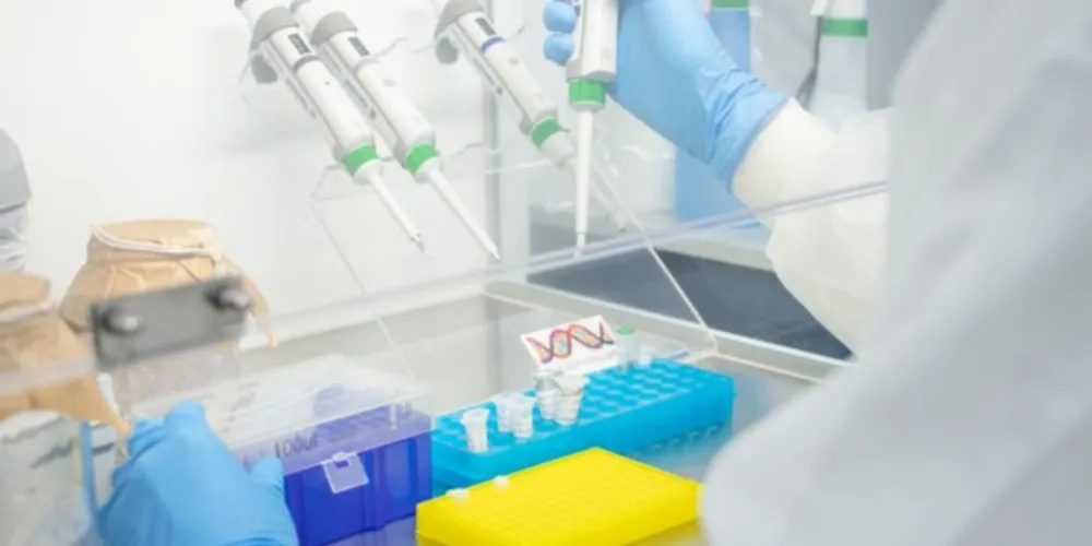 Testes foram coordenados pelo Laboratório de Análises Clínicas