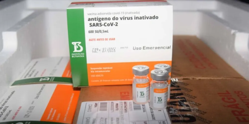 Imagem ilustrativa da imagem PR deve receber mais de 360 mil doses de vacinas