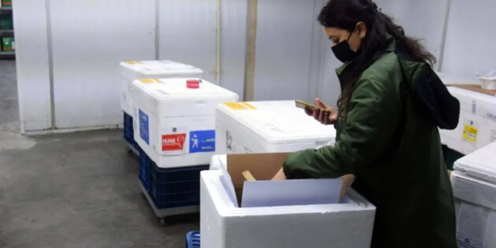 Saúde distribui primeiras vacinas para reforço de idosos acima de 60 anos e trabalhadores da saúde e anuncia chegada de novos lotes dos imunizantes.