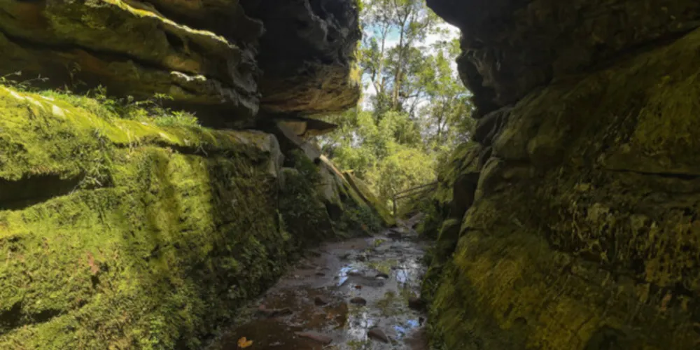 População já pode opinar a respeito do processe de concessão do parque à iniciativa privada