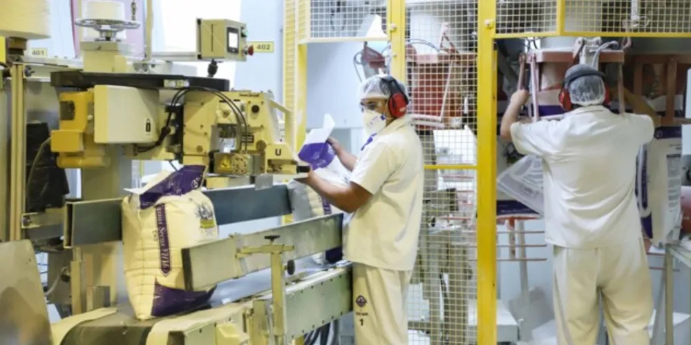 No período desde janeiro de 2020, os cinco setores da economia geraram novas oportunidades em Ponta Grossa