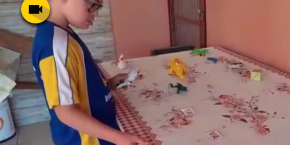 Imagem ilustrativa da imagem Trabalho inclusivo no Integração contribui na formação de aluno