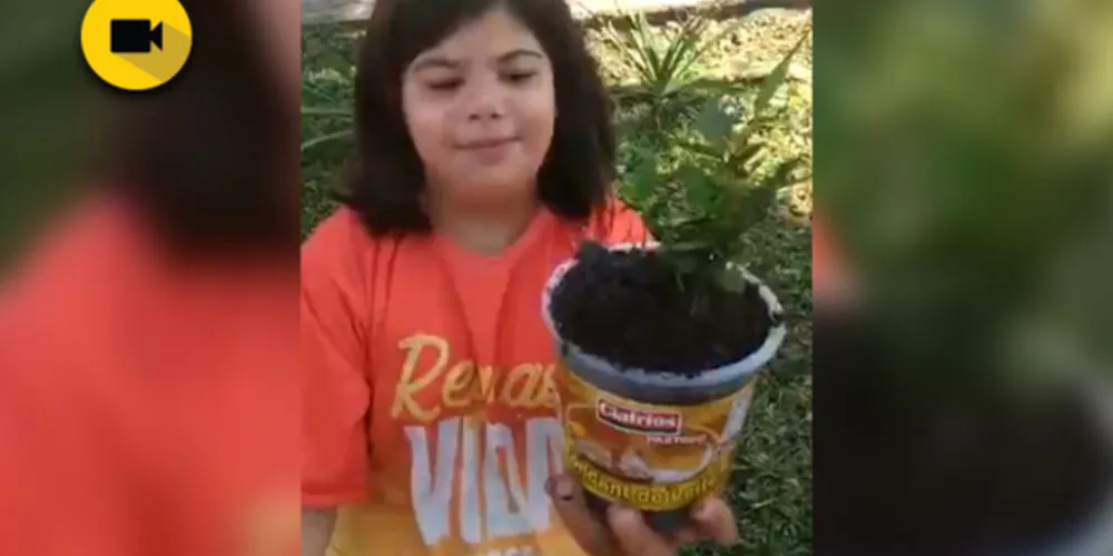 Imagem ilustrativa da imagem Projeto ambiental em Piraí do Sul conta com ampla dinâmica