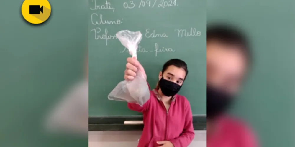 Imagem ilustrativa da imagem Experiências em Irati elucidam relevância dos fungos