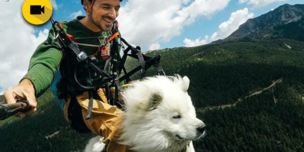 Imagem ilustrativa da imagem Diretor de cinema salta de parapente com cão na França