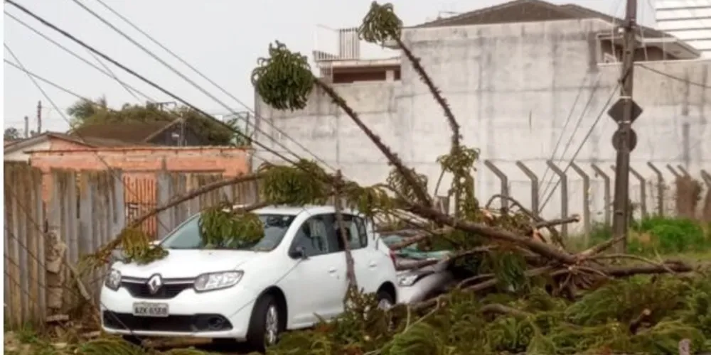 No Núcleo Santa Maria, uma árvore caiu sobre um automóvel. A rede de energia elétrica foi atingida pelos galhos