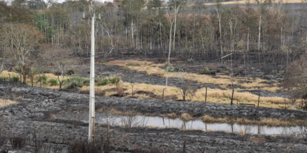 De janeiro a julho deste ano, a Copel registrou 116 desligamentos provocados por queimadas nas redes de distribuição, uma quantidade 30% maior que a observada no mesmo período em 2020.