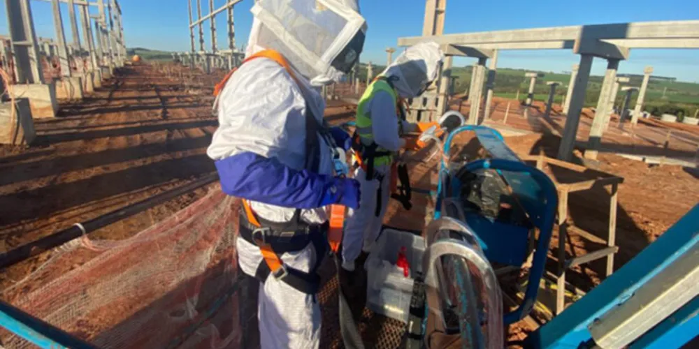 Etapas contam com identificação de colmeias, isolamento da área e remoção por encarregados