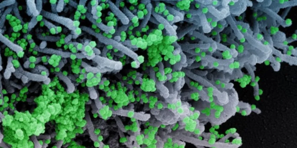 País é o primeiro a liberar o tratamento.