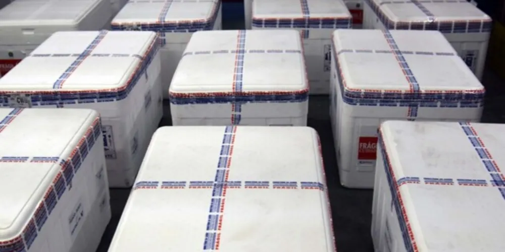 São 82.728 unidades para primeira dose, sendo 47.700 da Coronavac (Sinovac/Butantan) e 35.028 do Cominarty (Pfizer/BioNTech), e 175.568 para segundas doses, divididas entre 33.440 Cominarty e 103.100 Coronavac. Doses saem do Cemepar na tarde desta segunda-feira (23).