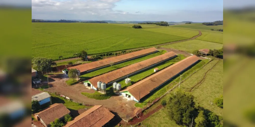 Além disso, 14 municípios alcançaram valores superiores a R$ 1 bilhão, realçando a força das atividades agropecuárias
