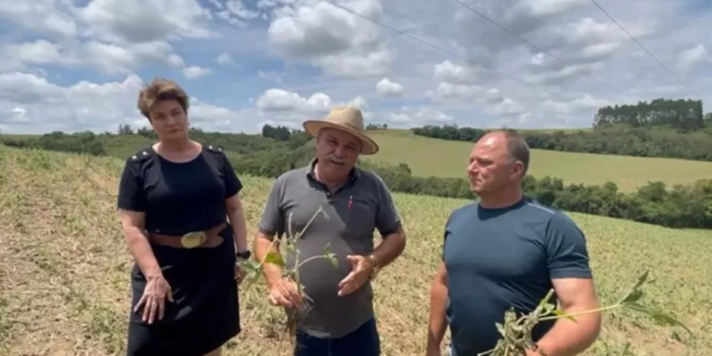 Prefeito Jorge Derbli realizou levantamento dos prejuízos registrados no setor agrícola