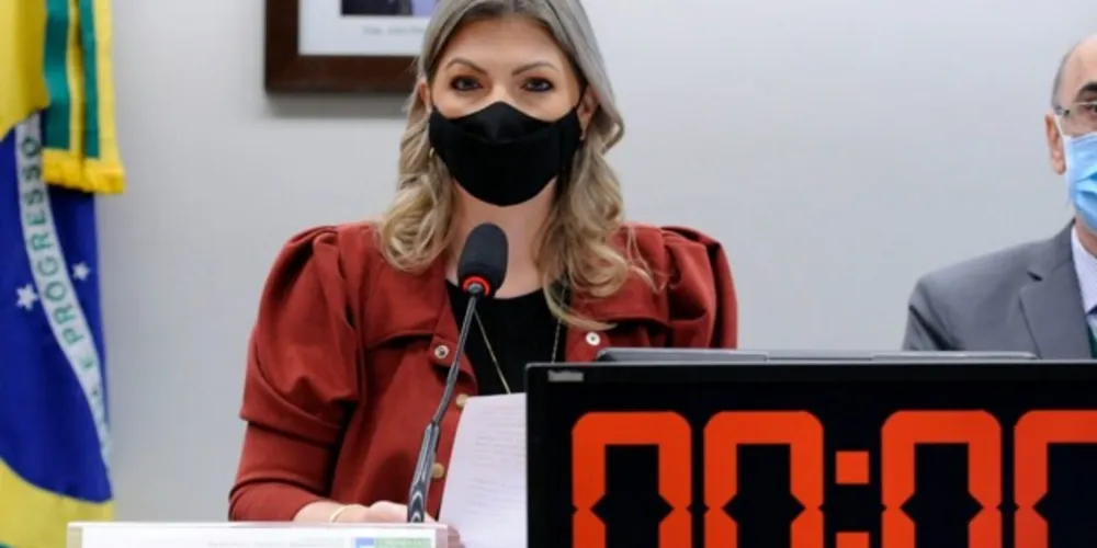 Deputada federal do Paraná, Aline Sleutjes (PSL).