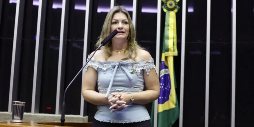 Deputada federal do Paraná, Aline Sleutjes (PSL).
