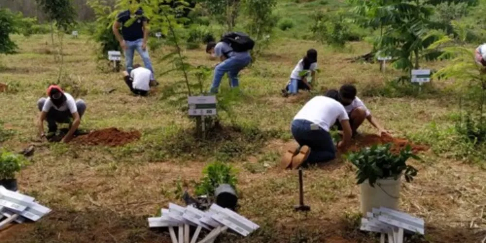 O projeto Cultivando Vida Sustentável é uma continuidade das práticas que o CAT prioriza desde sua criação em 2002.