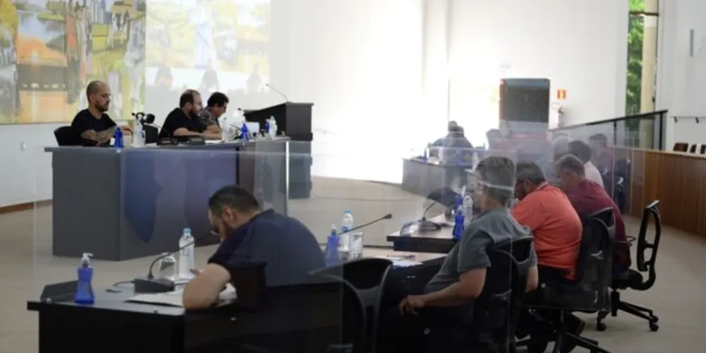  No decorrer do ano os parlamentares também apreciaram mais de 135 projetos de lei e 21 projetos de decreto legislativo
