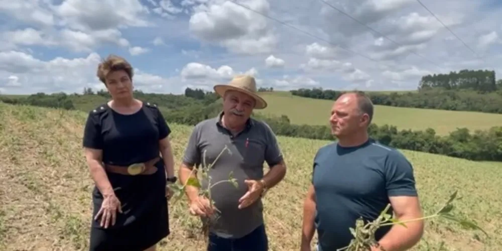 Ação contempla os agricultores que tiveram lavouras afetadas pelas chuvas de granizo