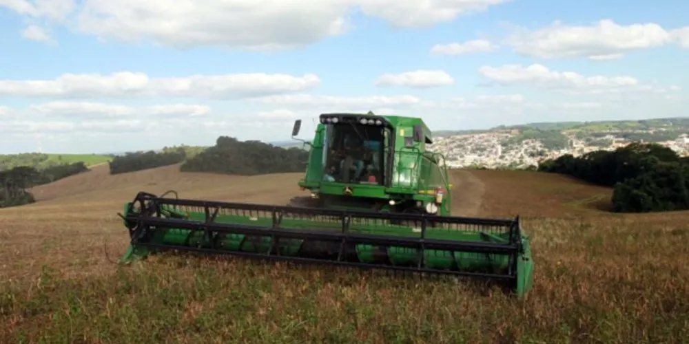 Irati e Prudentópolis se destacam na produção de feijão no Estado do Paraná 