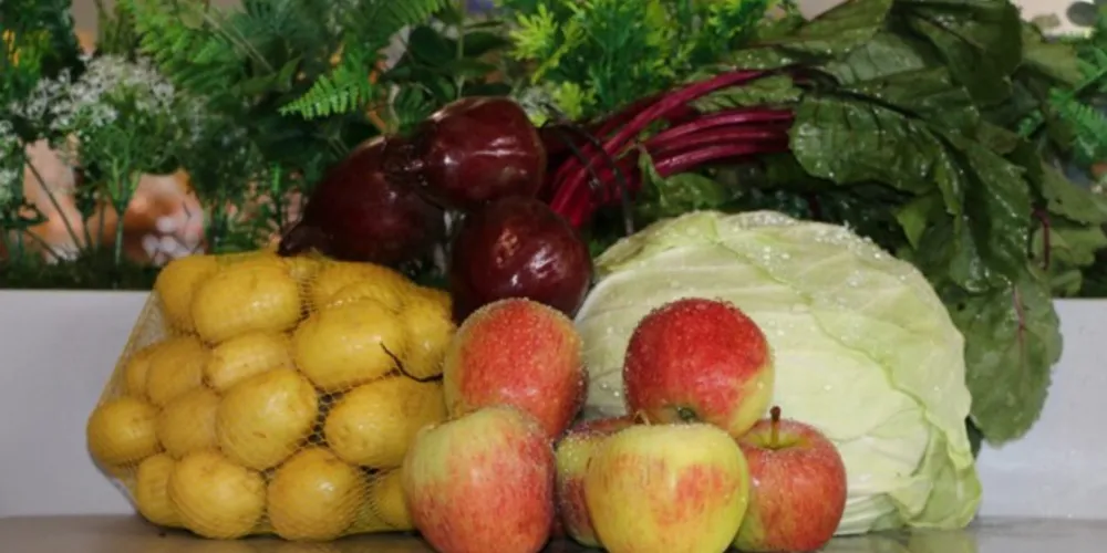 Novo projeto foi criado com o intuito de estimular a troca de material reciclável por alimentos