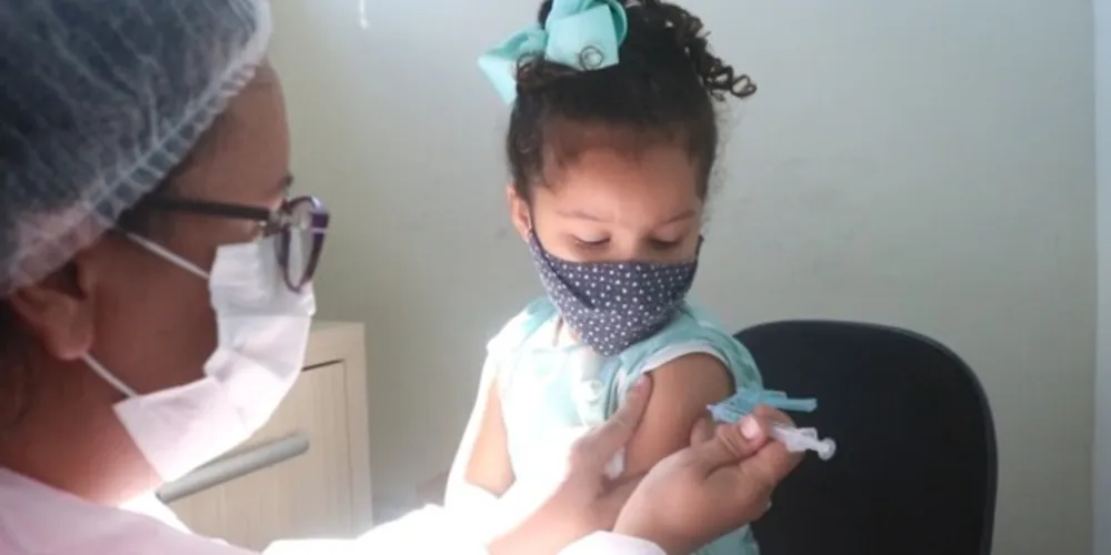  Imunizantes serão distribuídos pela 3ª Regional de Saúde de Ponta Grossa