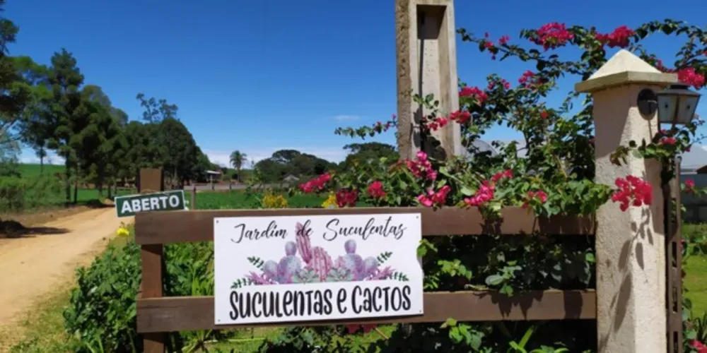 A feira vai acontecer do dia 10 à 12 de dezembro das 9h às 18h no Jardim das Suculentas Andressa Seliger