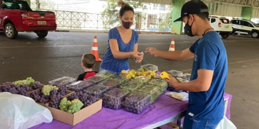 Prefeitura estima que sejam comercializadas cerca de 70 toneladas da fruta até o mês de fevereiro