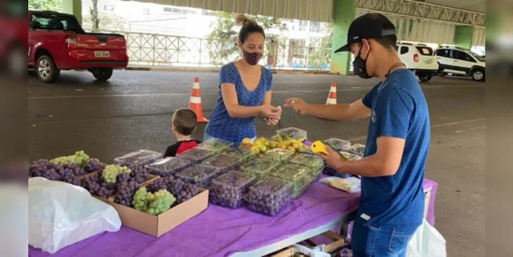 Prefeitura estima que sejam comercializadas cerca de 70 toneladas da fruta até o mês de fevereiro
