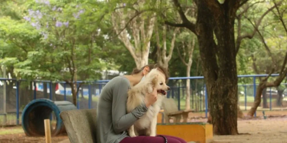 Cães têm a capacidade auditiva maior que a dos humanos e barulhos altos podem causar problemas.