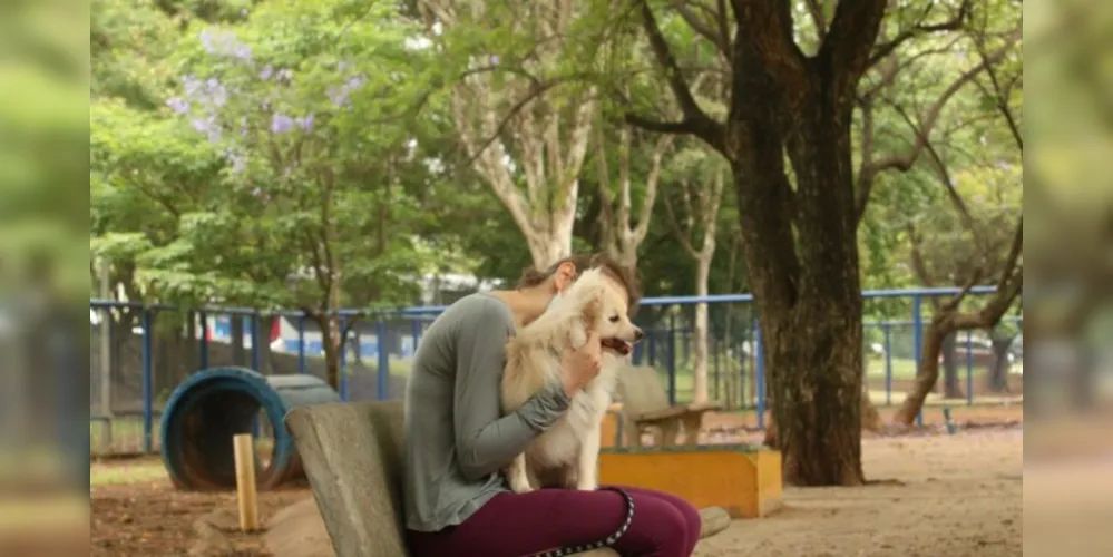 Cães têm a capacidade auditiva maior que a dos humanos e barulhos altos podem causar problemas.