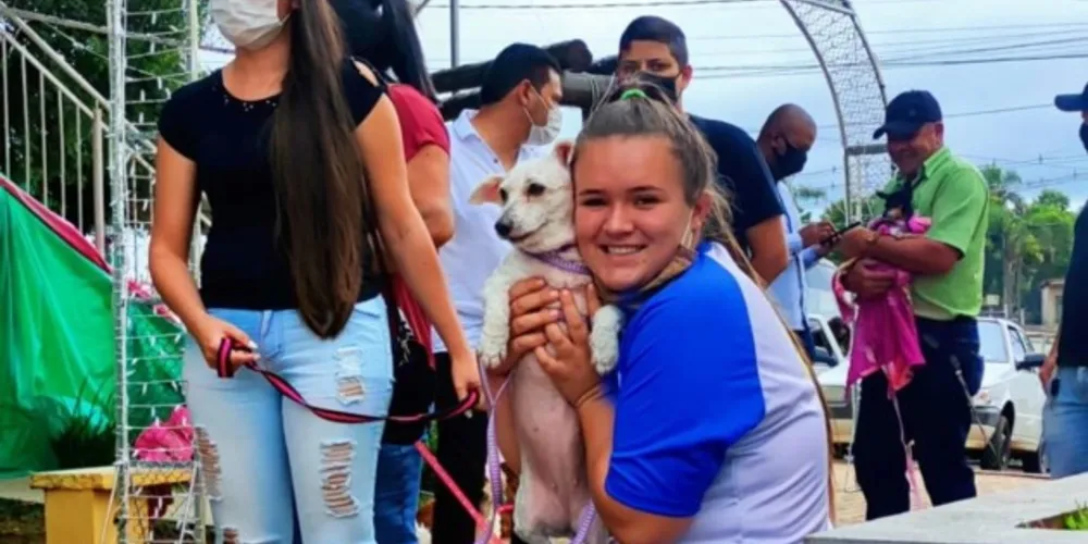 No total, 130 animais foram castrados na etapa inicial do projeto