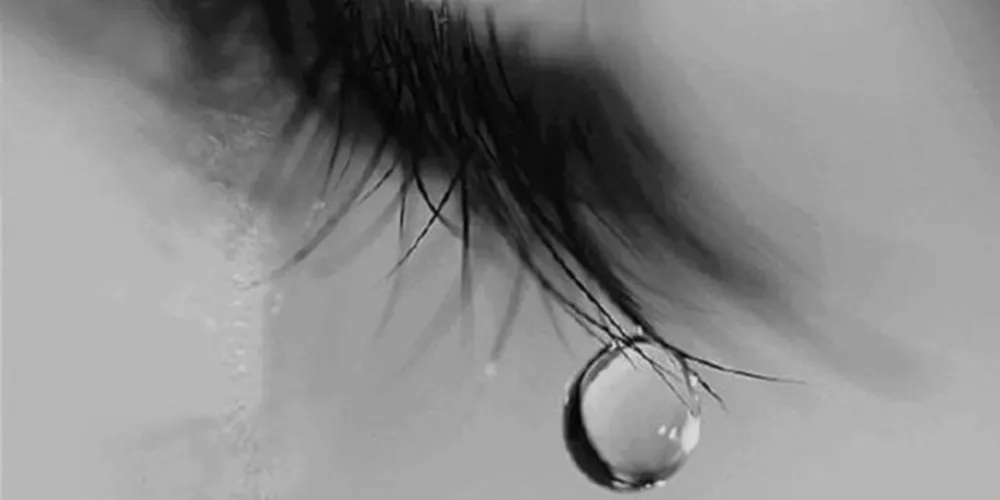 Coluna Fluidos Positivos desta quinta-feira (18 -11)