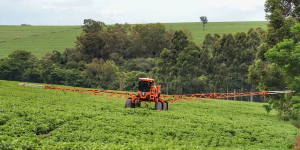 Parte da produção já foi plantada em todo o país
