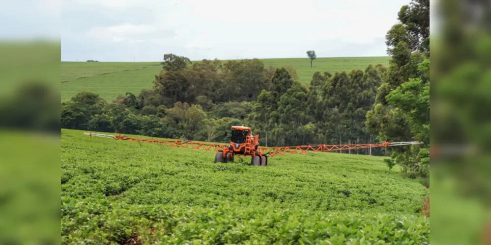 Parte da produção já foi plantada em todo o país