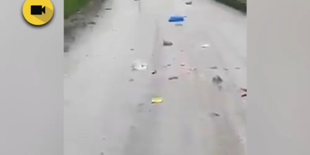 Imagem ilustrativa da imagem 'Chuva de vibradores' é filmada por morador em cidade de SC