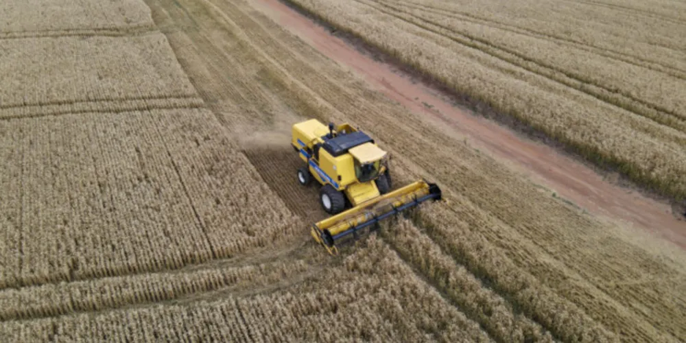 Tibagi, Castro e Prudentópolis são destaque em rankings produtivos