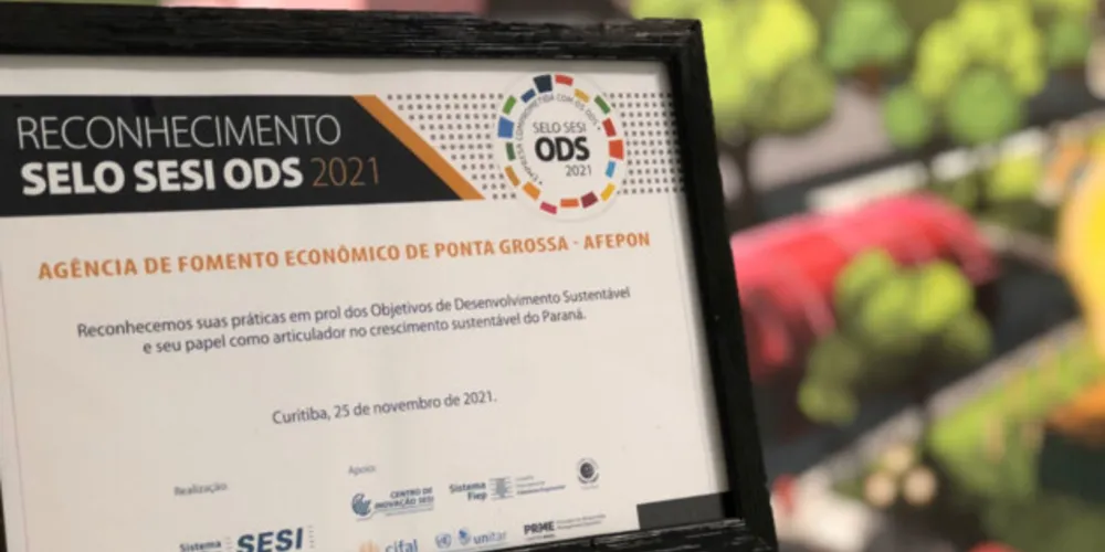 Reconhecimento foi garantido pelo projeto  ‘De informal 
a empresário legal’ e pelo ‘Voe Aceleradora de Negócios'