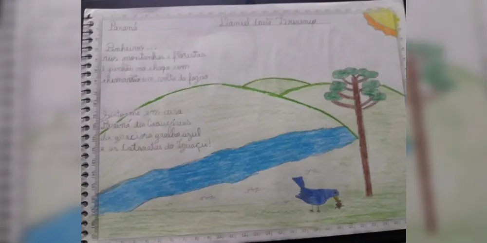 Imagem ilustrativa da imagem Trabalho em Irati aborda dados do Paraná após videoaula