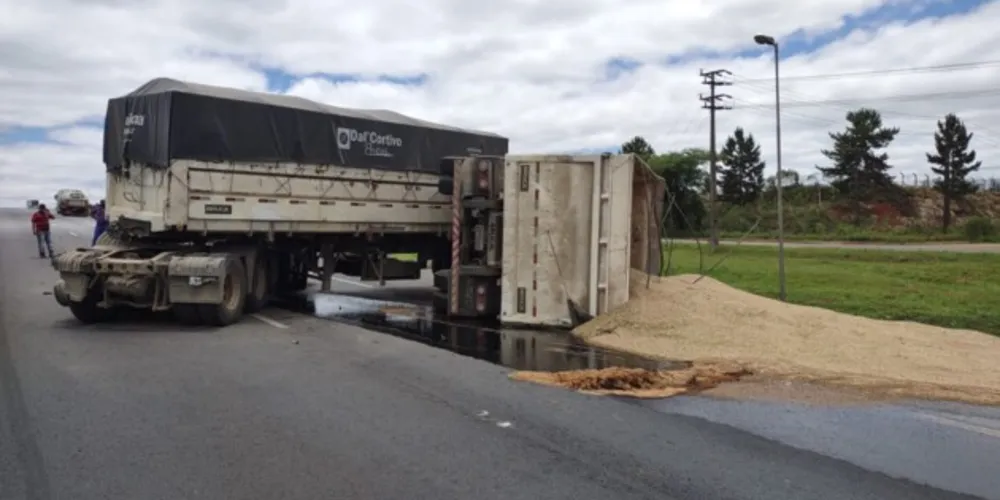 Caso foi registrado na tarde deste sábado (13), em Ponta Grossa