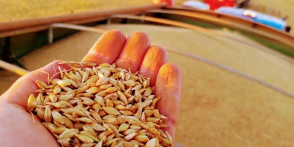 O agronegócio fez três cidades dos Campos Gerais se destacar entre as 100 maiores geradoras de riquezas no campo no Brasil