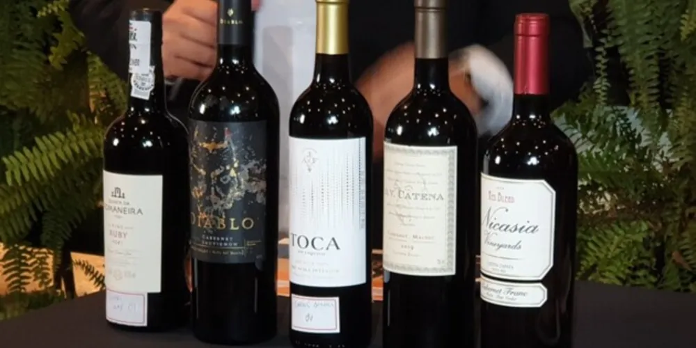 Evento arrecadou recursos para projetos sociais 