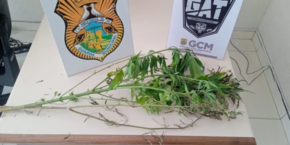 O material foi entregue na Delegacia Civil para a autoridade policial de plantão.