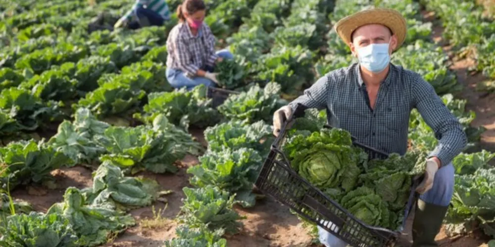 Projeto avaliado em torno de R$ 287 mil deve fomentar a produção de alimentos na zona rural